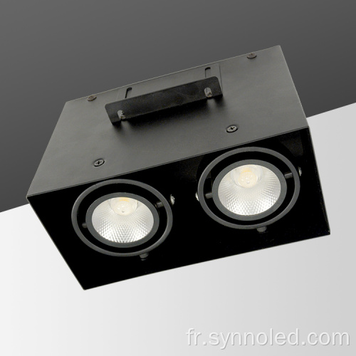 Downlight LED monté surface à double tête à double tête